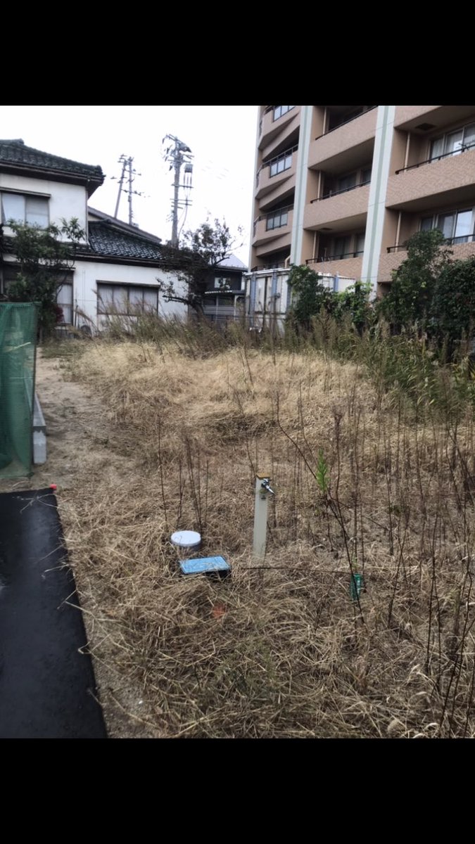 FeelingPay's tweet image. 本日の。
もう12月を迎えようというのに、なぜぼくは草刈りしてるのでしょう…😖