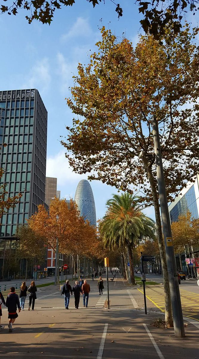Passejant per Barcelona. 
Avinguda Diagonal. #Barcelona #bcn #descobrirbcn #poblenou