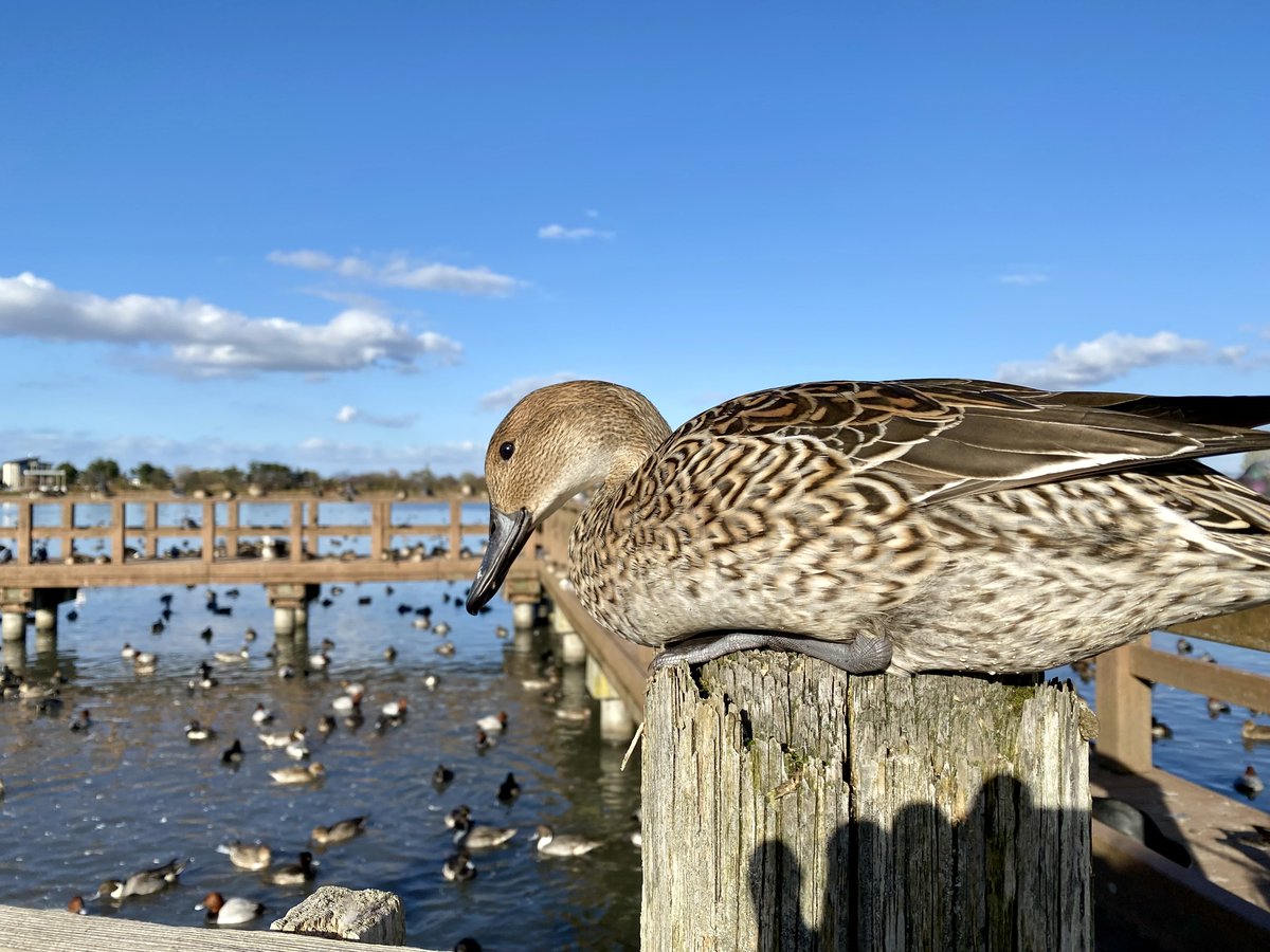 takm_km's tweet image. おつかれさまでした。