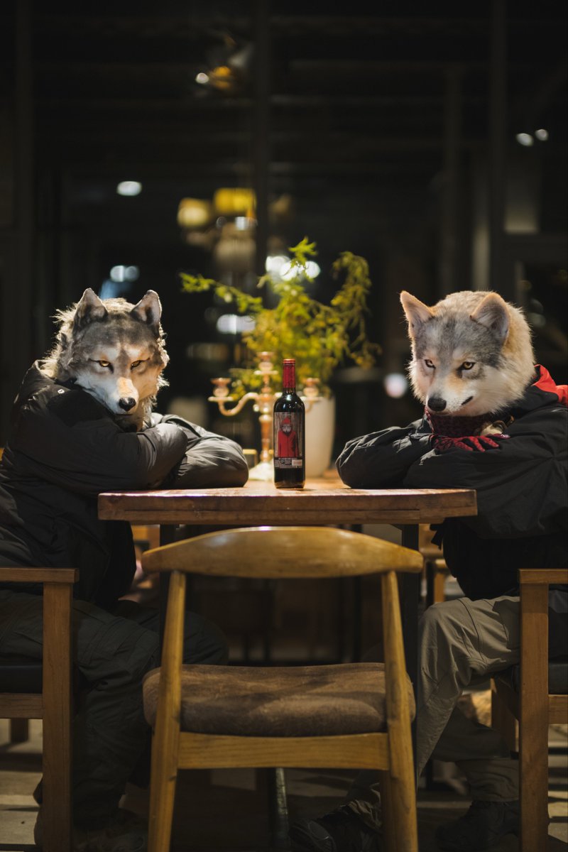DOUGLAB_Ashen's tweet image. 🐺🍷🐺

#FursuitFriday
#DOUGLAB

📷：@airlemi