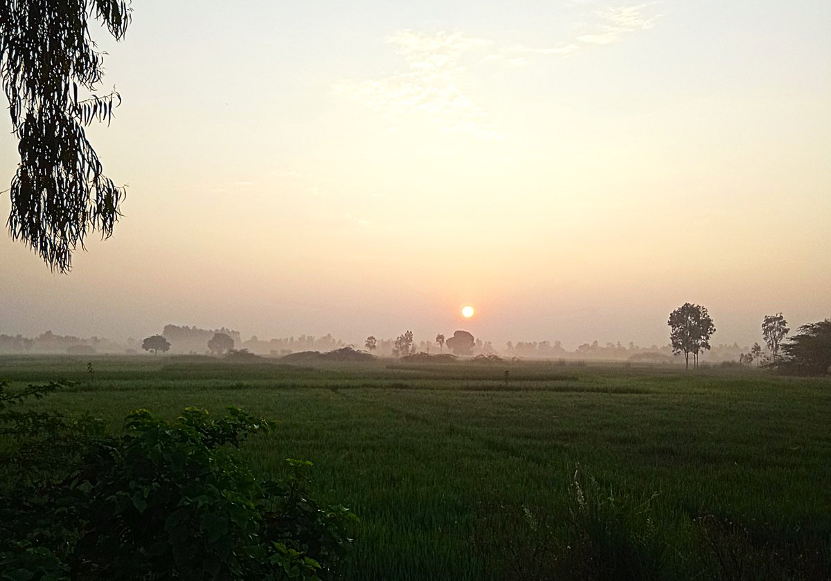 DrChetanSolanki's tweet image. Finite Consumption

In an ecosystem of finite resources, consumption must also be finite. 🌍

#WeNeedHalf #FiniteEarthMovement #ClimateCorrection