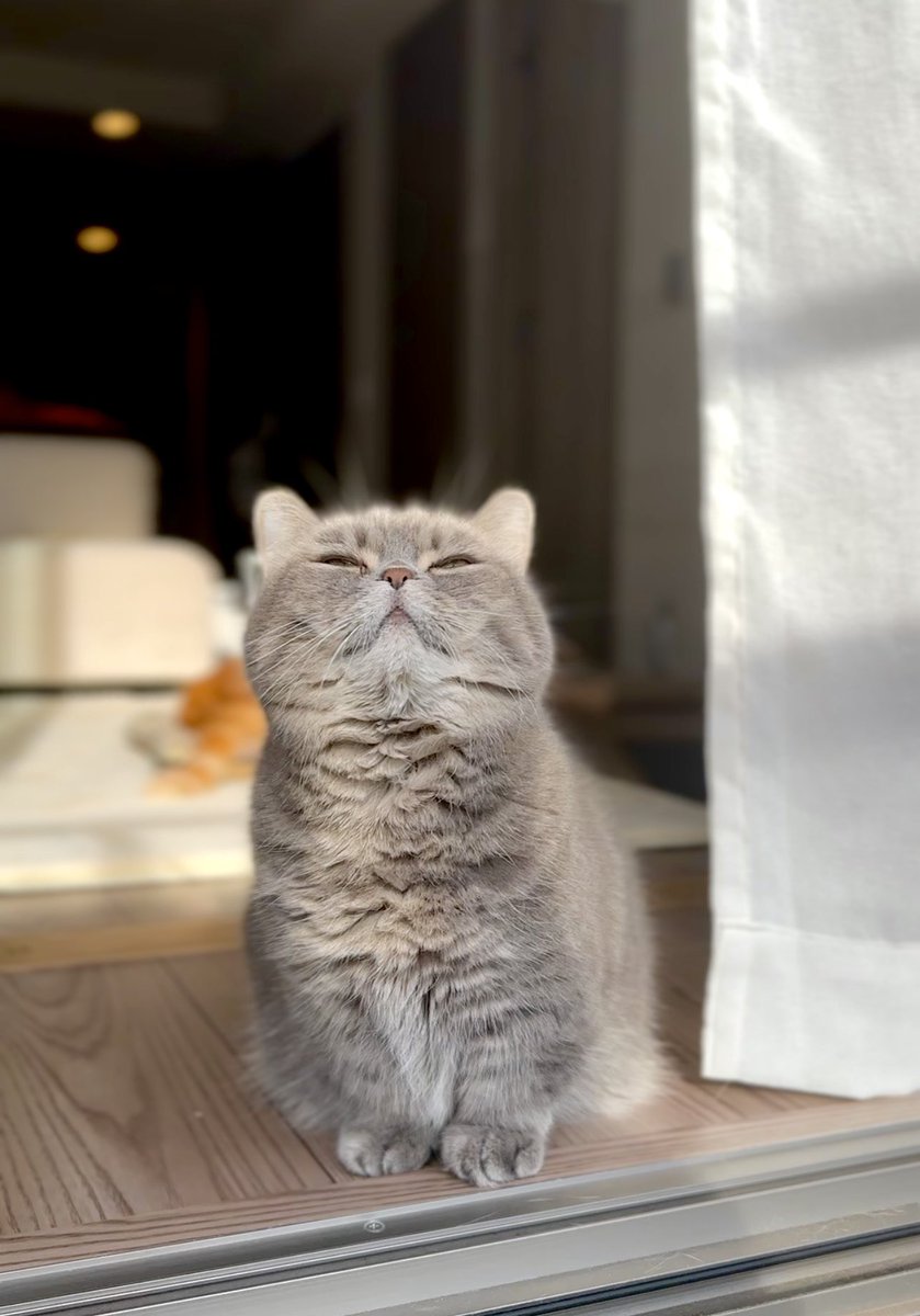 himaritomugi's tweet image. 冬将軍さんが来たです