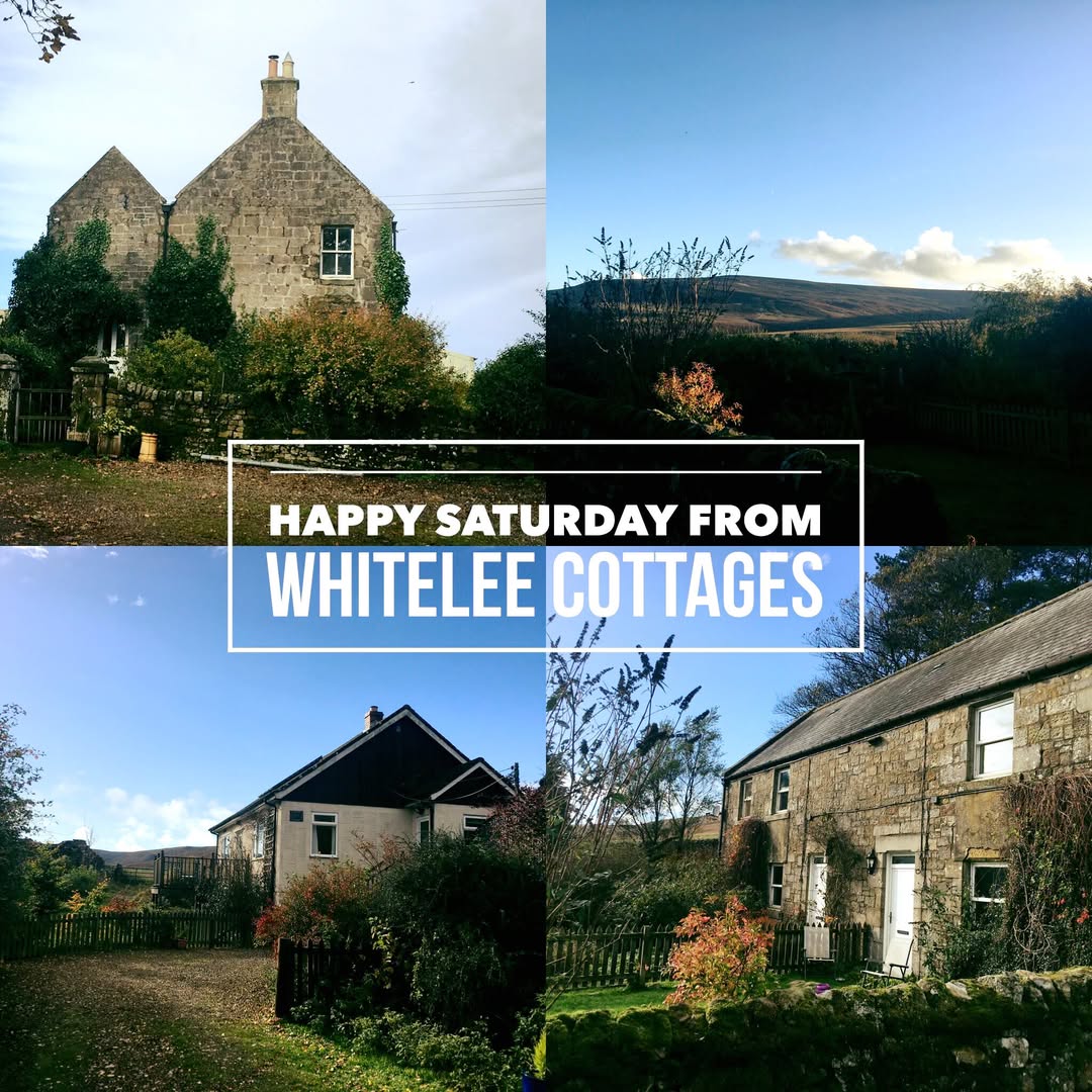 Whitelee Cottages tweet media