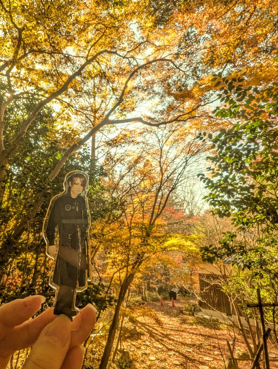 ましんたろう@12/12,13名古屋上映会 (@dondokotakeo) / Posts / X