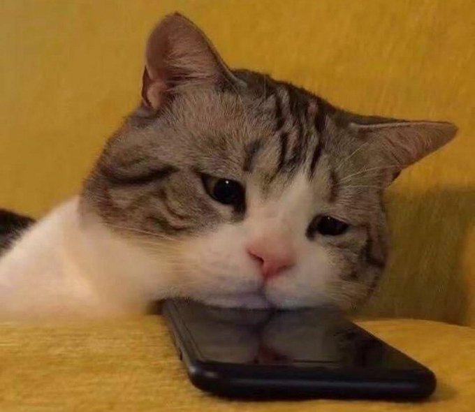 reaperai tweet media