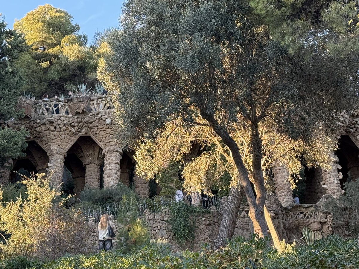 HIGASIDAI's tweet image. 今日は、バルセロナの名所巡り。
ピカソ美術館、カタルーニャ音楽堂、グエル公園を観てきました。バルセロナの歴史を堪能。

いよいよ明日は合唱団のコンサート本番に向け、もう練習が始まります。
頑張らなくっちゃ‼️

#ピカソ美術館　#カタルーニャ音楽堂　
#グエル公園　#ガウディ　#バルセロナ…