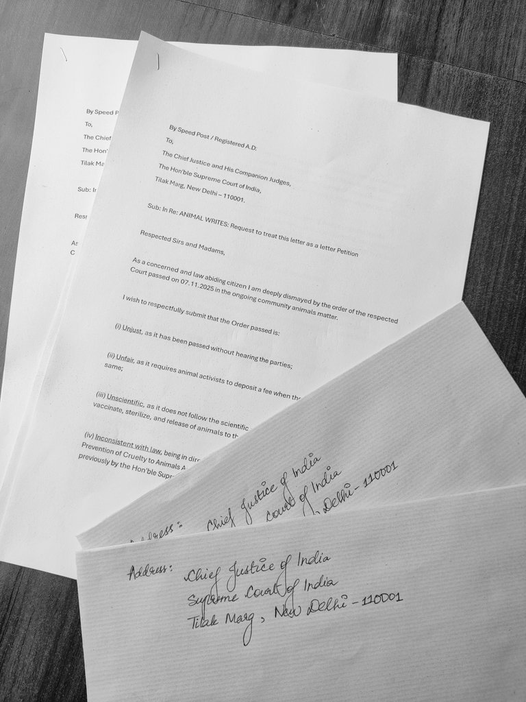 tacatep's tweet photo. Bestie and I mailed our letters today🫶🏻
Join India's largest letter petition campaign for street dogs! Write to the Supreme Court on 29 Nov 2025. Every voice matters. #SaveIndianStreetDogs #AnimalWrites https://t.co/I7Uf9mhxjt https://t.co/O439RtU6dy