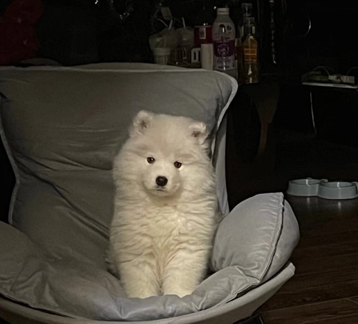 dogonboo's tweet image. ปีนี้ คุนเรียกผมว่าอ้วมไปกี่ครั้ง?