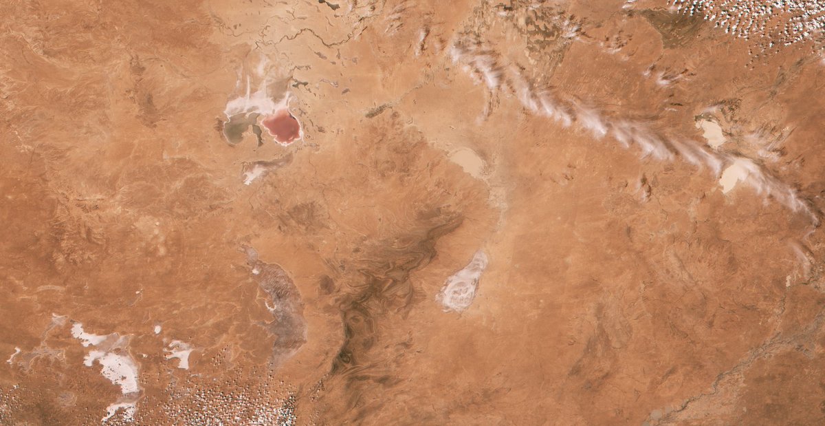 John Bell tweet media