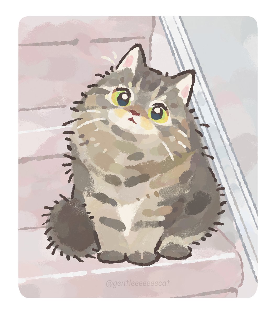 gentleeeeeeecat tweet picture