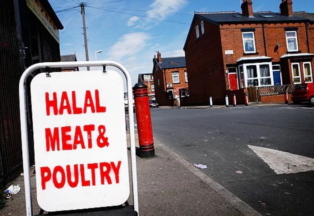 The1Apostate's tweet photo. Halal means 'permissible by Allah'

Halal slaughter is the ritual slaughter of animals involving cutting the animals throat without stunning them first

Retweet if you agree that this is inhumane and that halal slaughter should be banned https://t.co/yF1orRoSY8