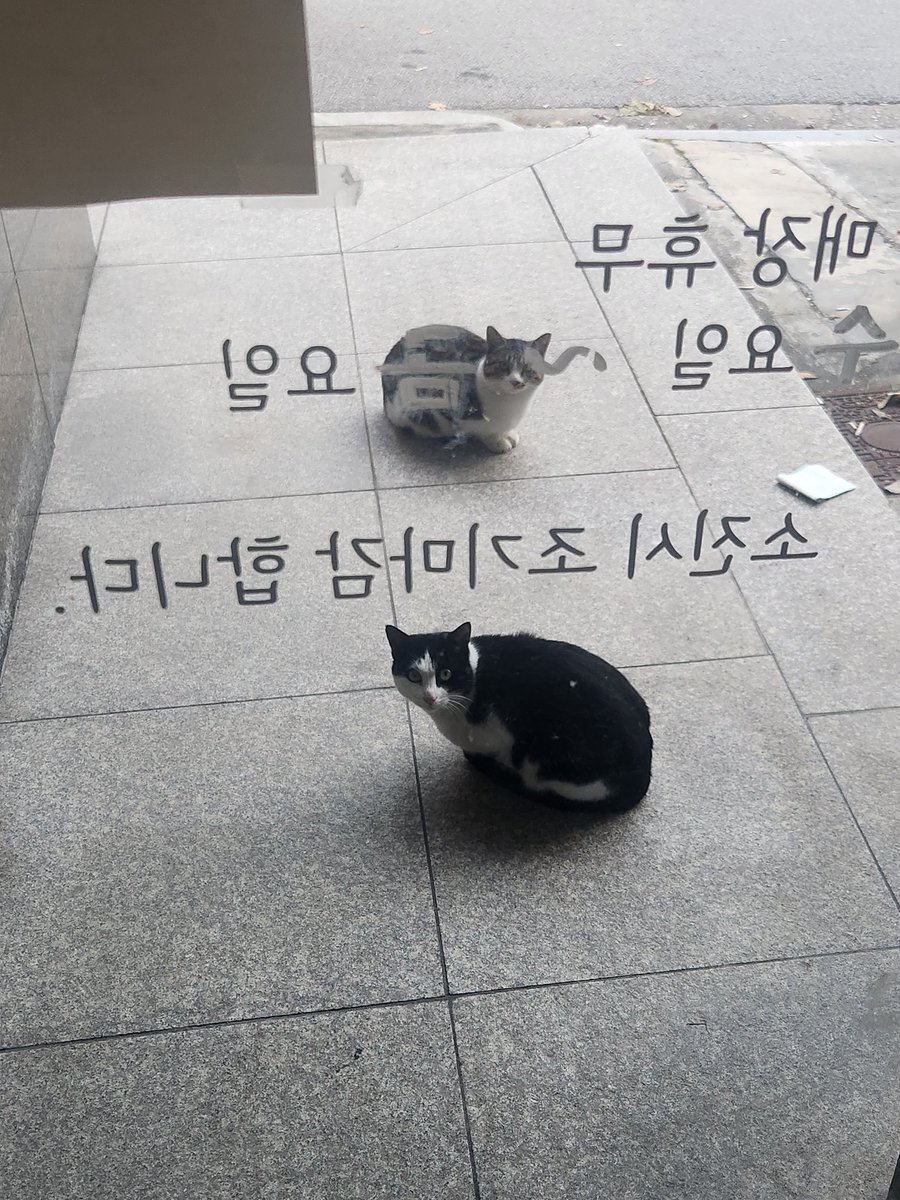구전설화 과자점 :: •口•傳•說•話• tweet media