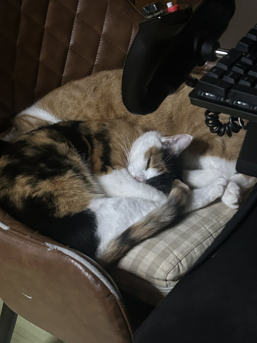 ちょっと席を外したらこれだよ