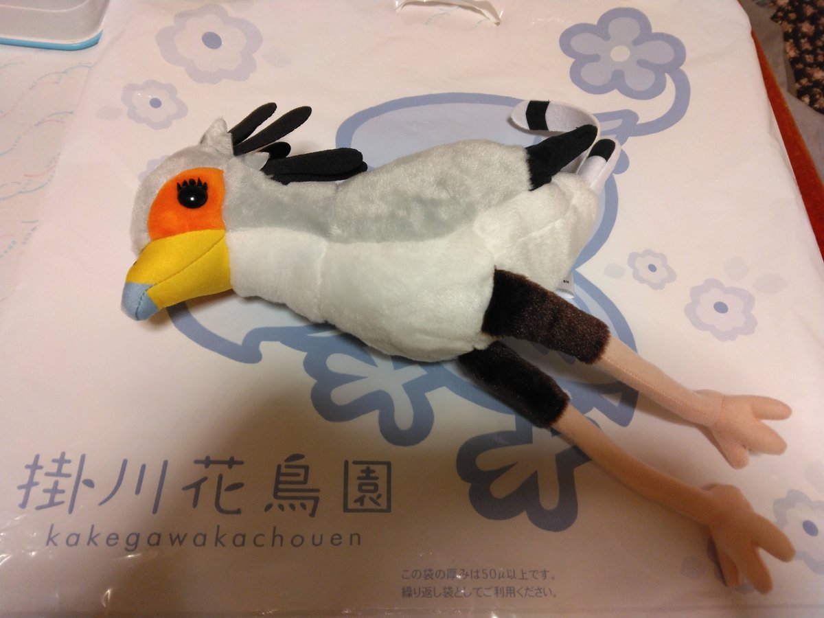 moccka1's tweet image. #Flow
の映画でヘビクイワシちゃん好き過ぎてとうとう掛川花鳥園にキックちゃん見に行ってしまった。生で見たい気持ちと写真撮りたい気持ちがせめぎあった結果ヘボい画しか撮れなかった。
でもキックちゃんのキック最高でした