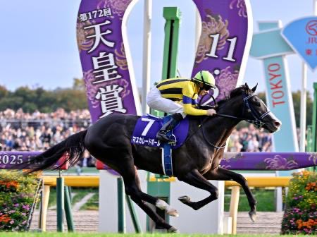 エアシャカール　菊花賞 明日のﾚｰｽ🏇予想ﾑｽﾞかった👀💦 秋華賞ｲﾝﾌﾞﾛｲﾀﾞﾘ-🏇✨菊花賞ｴﾈﾙｼﾞｺ