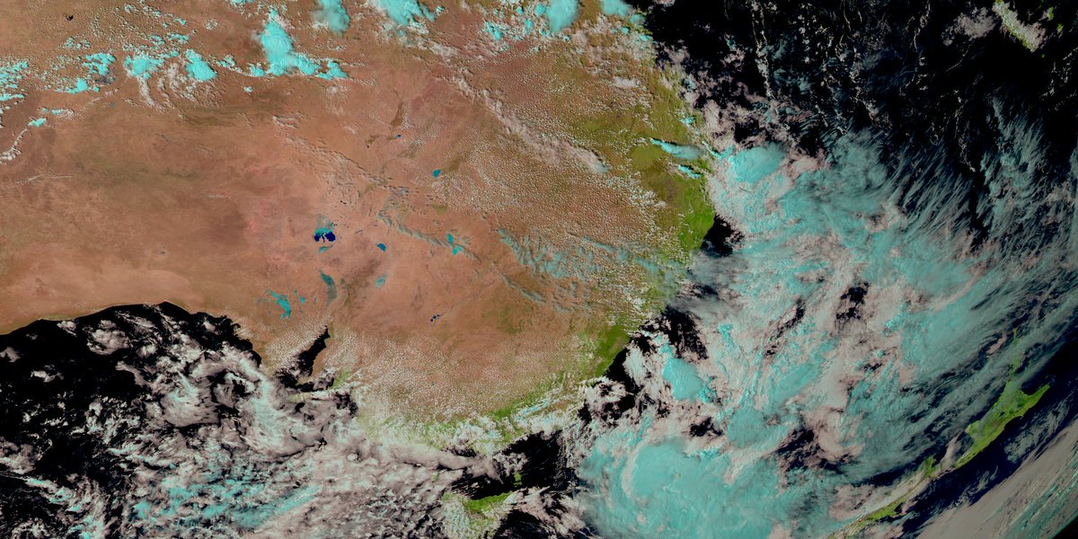 John Bell tweet media