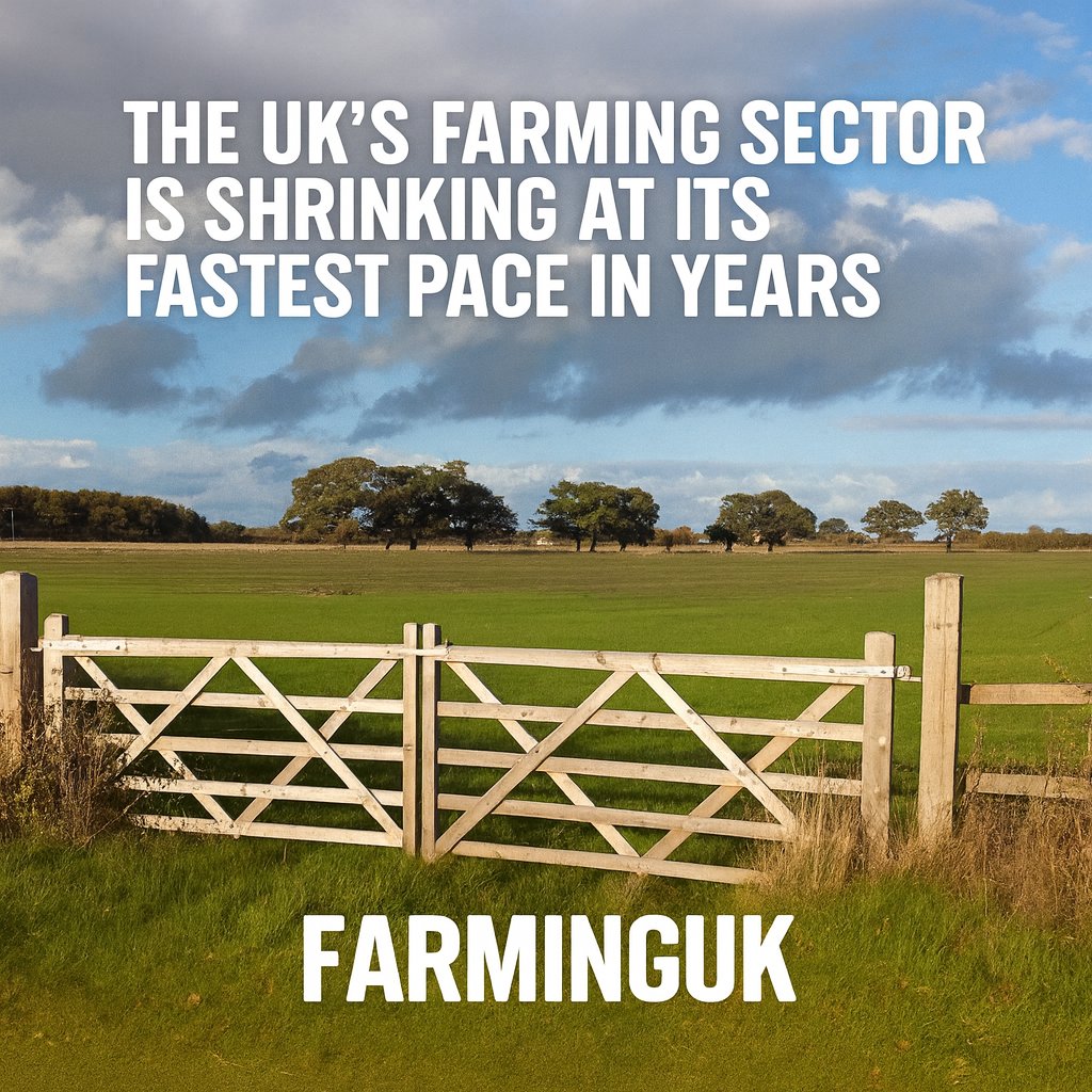 🚜📉 UK farming is shrinking fast: 1,360 farm closures vs just 775 new entrants in three months

READ MORE: farminguk.com/news/farm-loss…