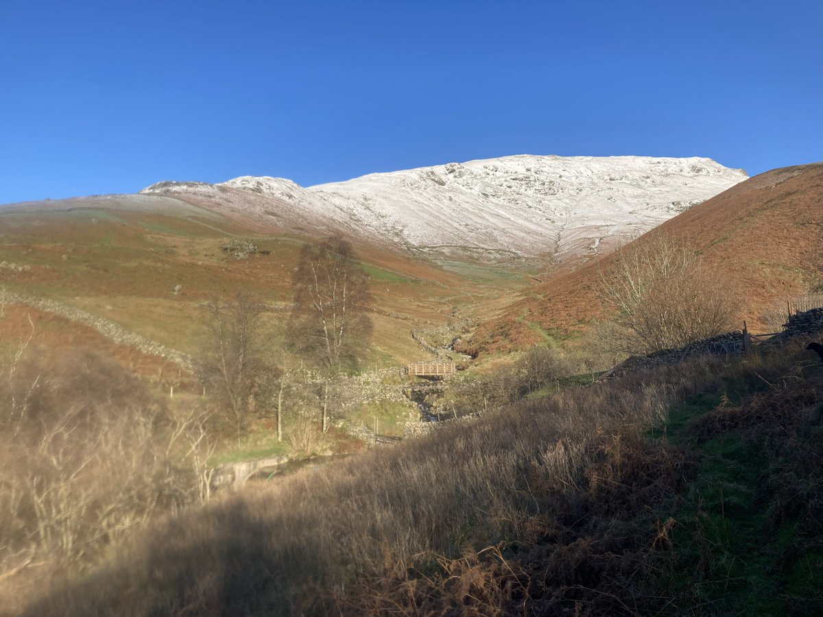 FriendsofLakes's tweet image. Jan reveals volunteer efforts in woods, tree planting, seed propagation, and poetic connections to landscape in her latest blog - including a fascinating visit to Gosling Sike nursery as part of an important seed bank project.

 #latestblog #seedbank #volunteer #landscape_joy