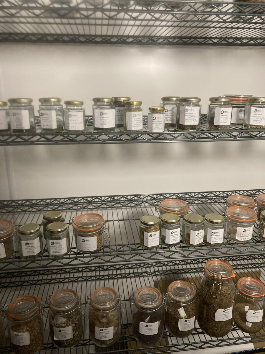 FriendsofLakes's tweet image. Jan reveals volunteer efforts in woods, tree planting, seed propagation, and poetic connections to landscape in her latest blog - including a fascinating visit to Gosling Sike nursery as part of an important seed bank project.

 #latestblog #seedbank #volunteer #landscape_joy