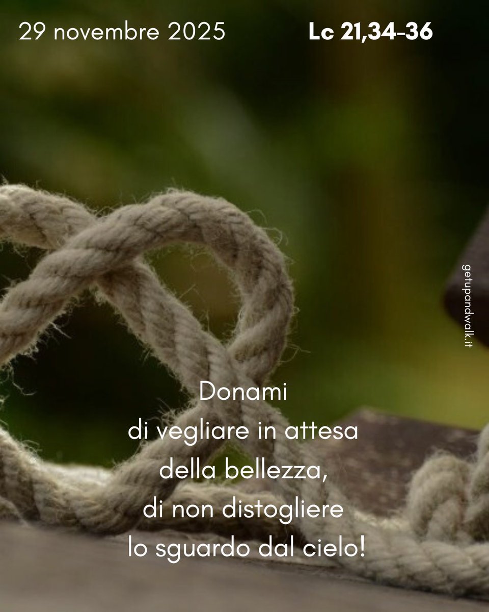 _getupandwalk_'s tweet photo. Succede troppo spesso che il mio cuore sia affannato di #preoccupazioni, di #paure per cose non ancora in vista.

https://t.co/ElMrR79I4e https://t.co/B3fof6MdXG