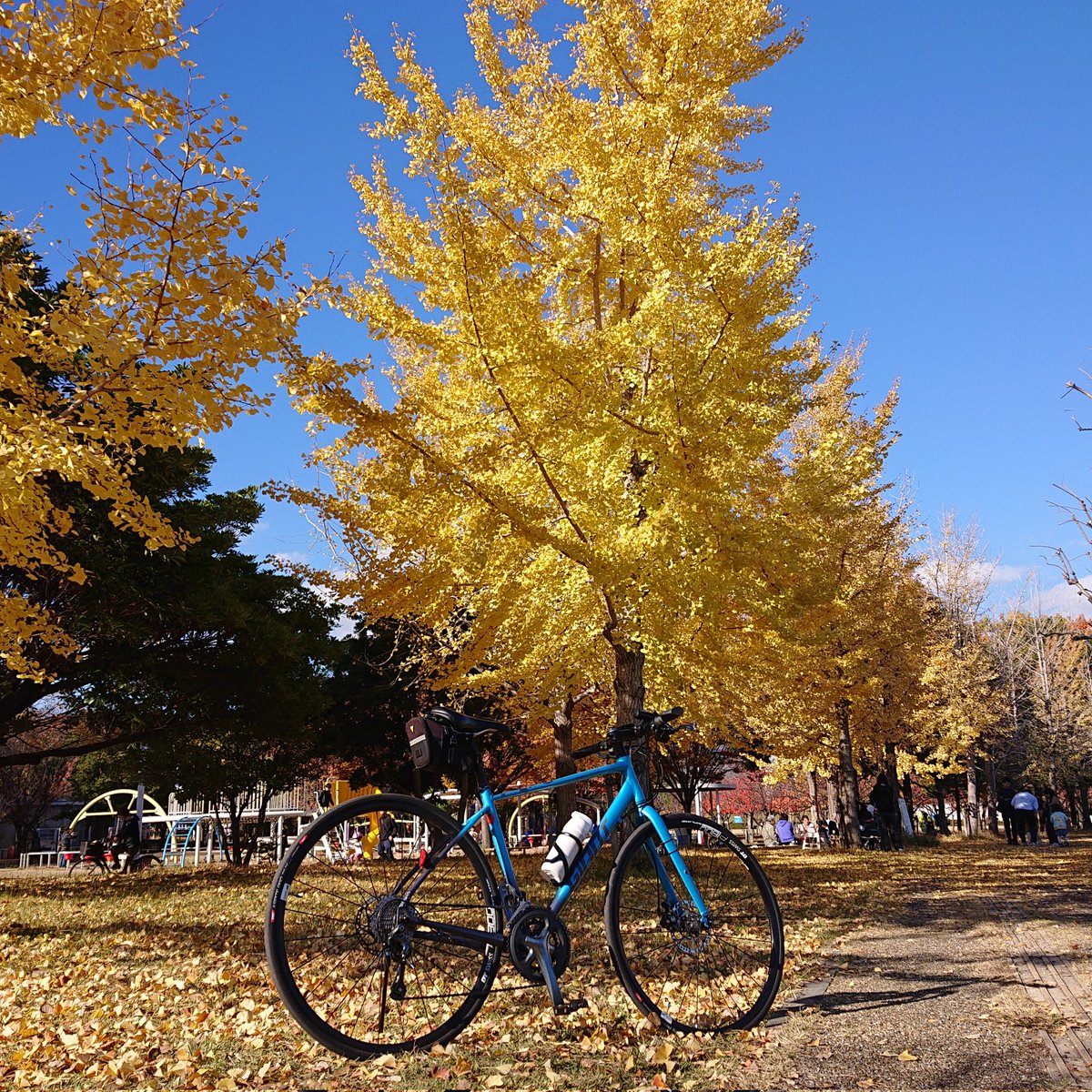 hazeworks's tweet photo. 芦屋で紅葉を探しながらのサイクリング。
景色を楽しみながらのんびり走るのはいいですよね~
#ESCAPERDISC #CROSTAR #GIANT https://t.co/AloPhrXFJe