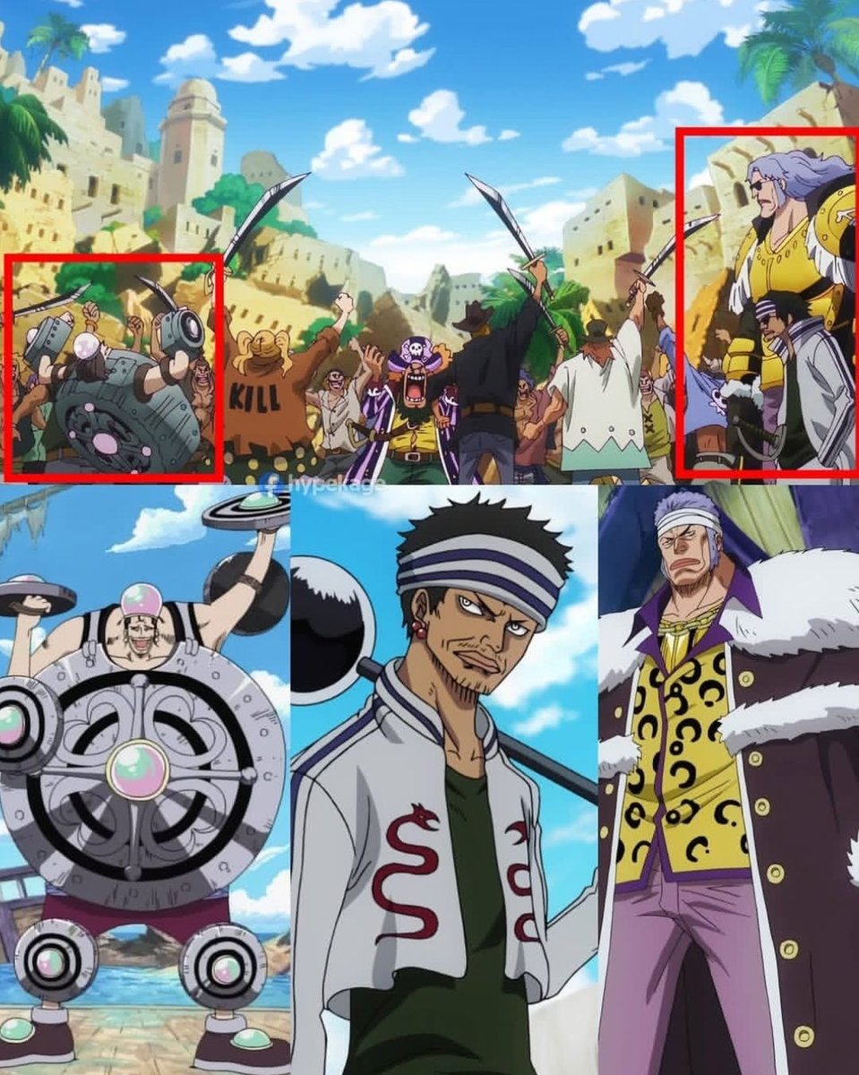 One Piece Daily tweet media