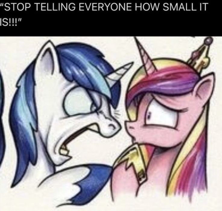 appledashinator's tweet image. I don’t like this picture because shining armor would never yell at his princess like this