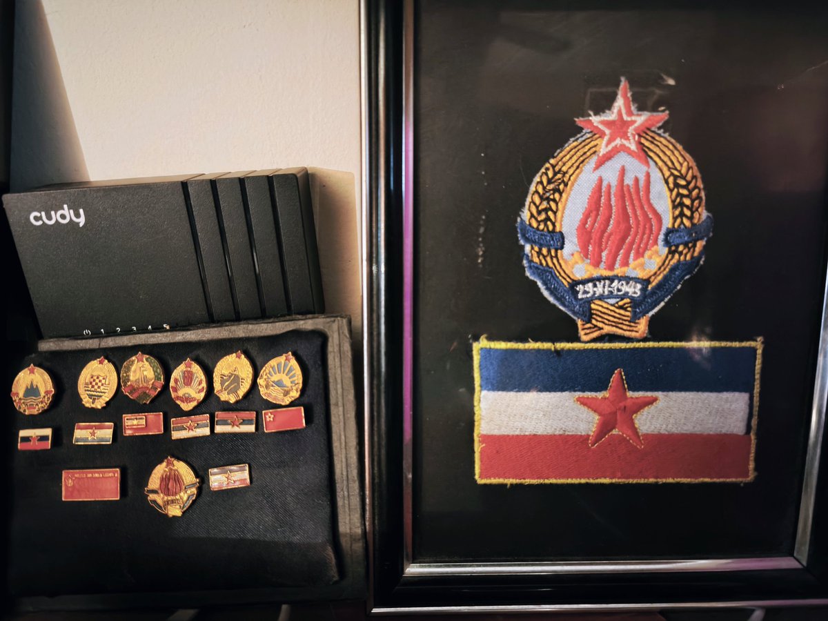 Rođen sam u FNRJ, proveo detinjstvo i dobar deo mladosti u SFRJ. Proveo ih kako mogu samo da poželim svima. Zovite me jugonostalgičarem, zabole me, ali u odnosu na ovaj šizofreni provizorijum ono je bila država za poželeti. Srećan 29.11. svima koji slave.