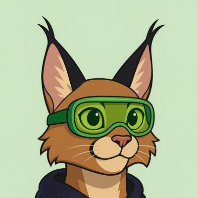 13YOSOLBOY's tweet image. CARACAL #8020