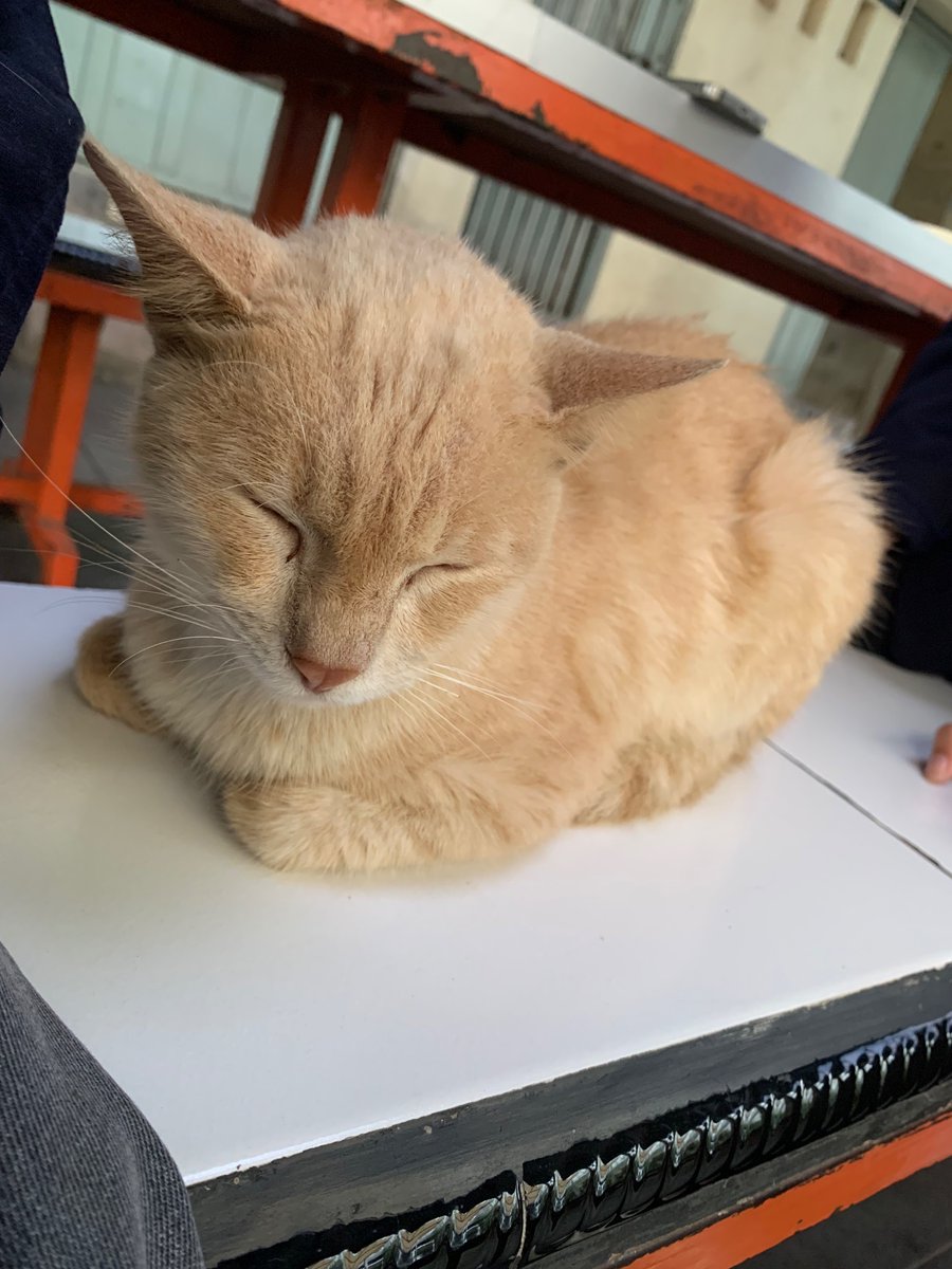 BEM FISIP UNIVERSITAS BRAWIJAYA ✘ tweet media