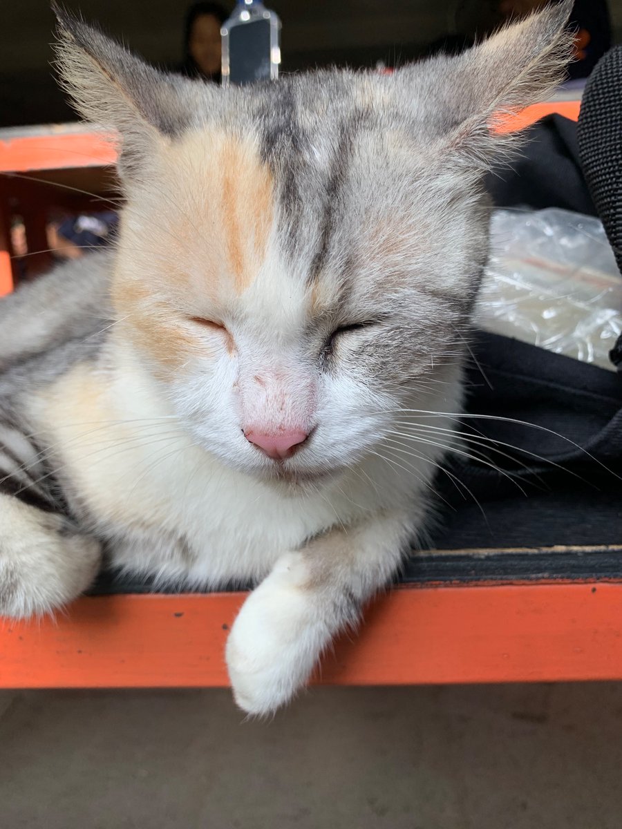 BEM FISIP UNIVERSITAS BRAWIJAYA ✘ tweet media