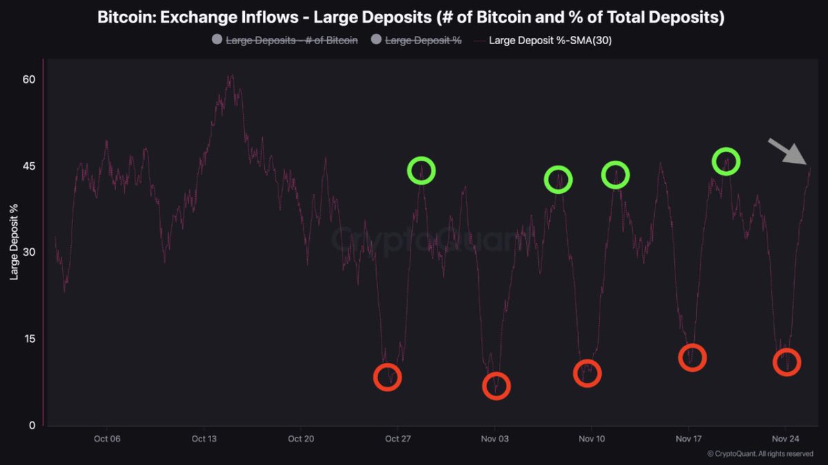 🚨Bureau : "Aumento dei Grandi Depositi di Bitcoin: Trend Positivo dal 24 Novembre"