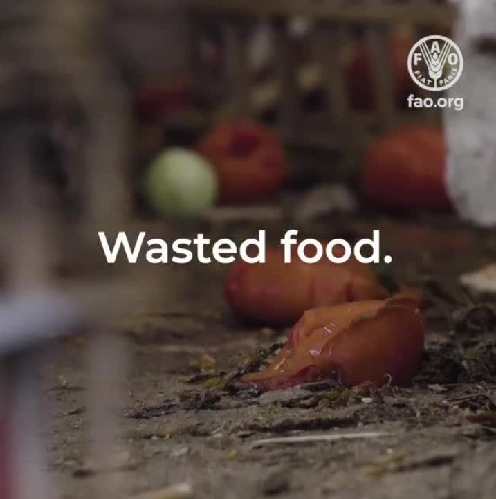 RamsarConv's tweet image. When food is lost or wasted, the land, labour, water, energy and all of the resources that went into producing it are being wasted too.

Reducing #FoodLoss &amp;amp; #FoodWaste means protecting the health of our one and only planet.

Let&apos;s all act for people and the planet.