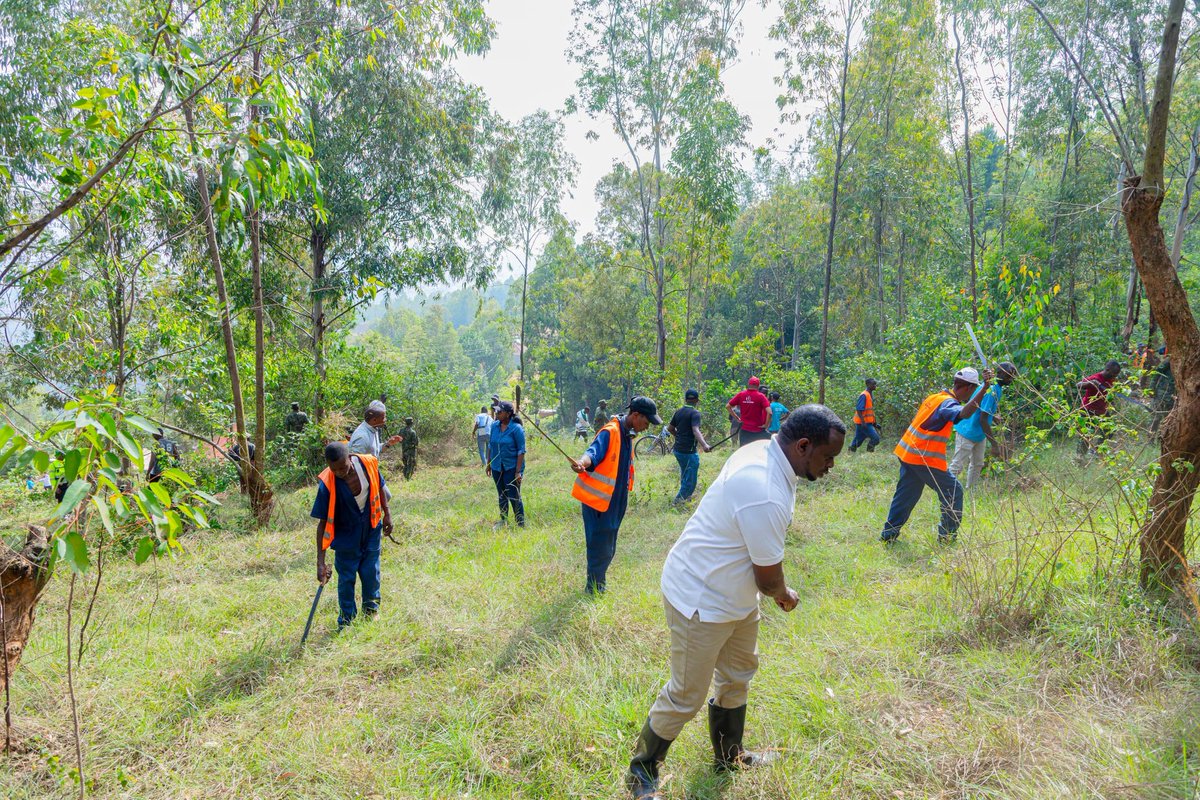 KicukiroDistr's tweet image. Mu Karere ka Kicukiro, Umuganda wabereye mu Mirenge yose, hakaba hakozwe ibikorwa bitandukanye birimo isuku ndetse no gutera ibiti. Aha ni i @GikondoS, ku i Rebero aho turi kumwe n'Umuyobozi w'Umujyi wa Kigali wungirije ushinzwe ubukungu n'imibereho y'abaturage @Urujeni1 .