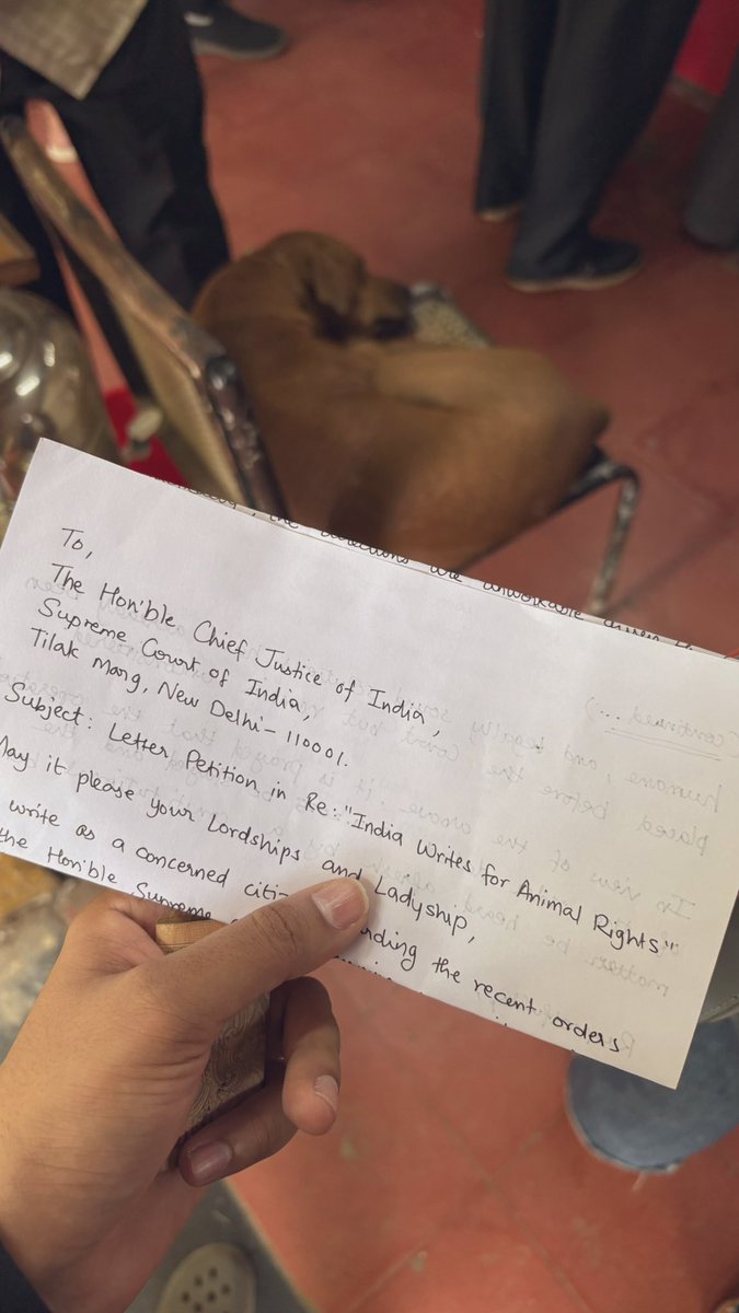 nish7x's tweet photo. The irony of a street dog peacefully resting on a chair in the post office, while India writes back. 

https://t.co/ptPxUrE5ka #AnimalWritesIndia #SaveIndianDogs #SaveIndianAnimals https://t.co/AwzKJ4A1rr