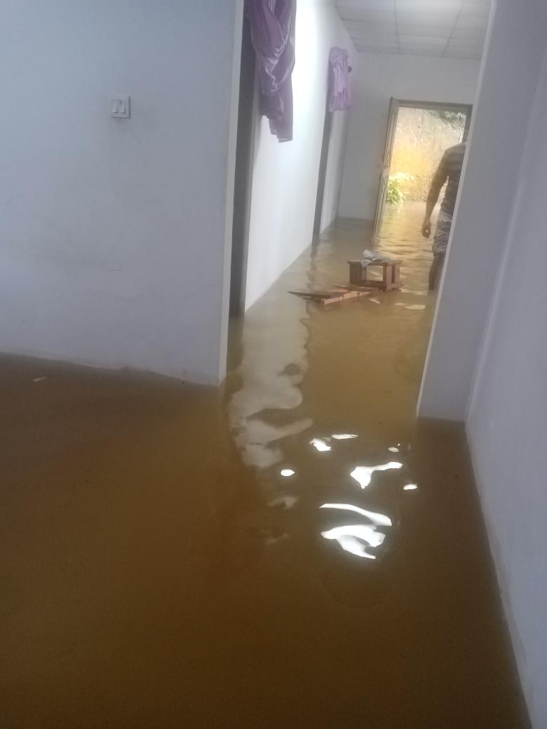 WinD - Desika tweet media