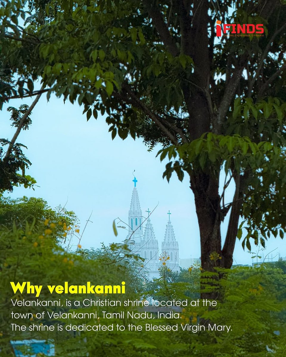 iFinds122911's tweet image. Velankanni - Home of Healing!
.
.
iFinds cookin app for You!
.
.
#ifinds #prayer #blessing #jesus #angel #shrine #hope #healing #Travel #travelphotography #TravelRecord #TravelTips #traveling #shine #blessingsfornewlife #beachvibes