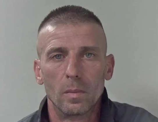 British Intel tweet media