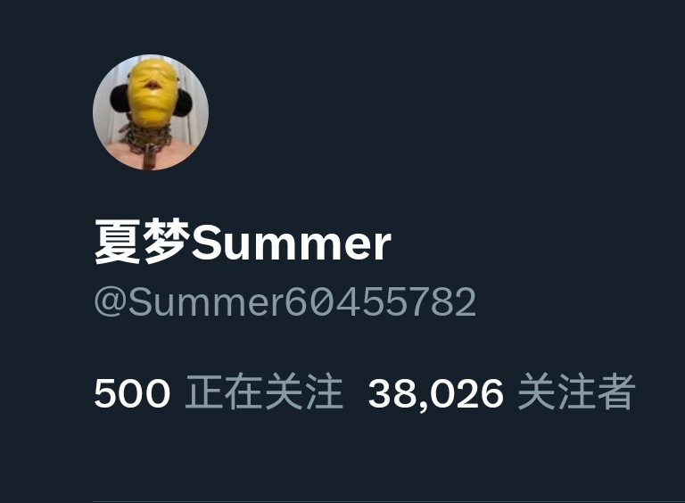 夏梦Summer tweet media