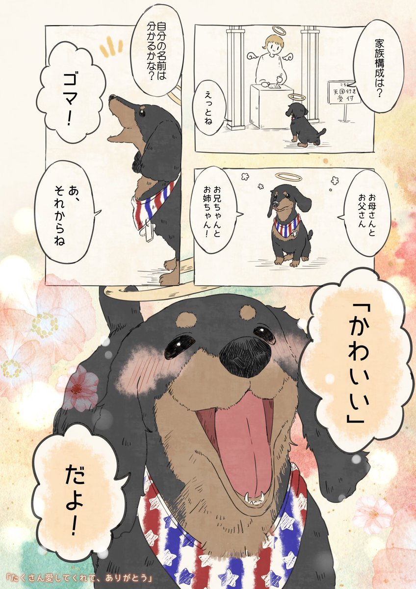 🐶犬編まとめ🐶(1/6)

#自分の名前を勘違いしている子 