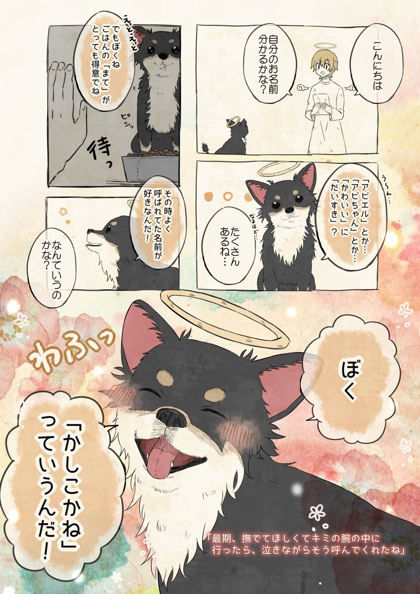 🐶犬編まとめ🐶(5/6) 
