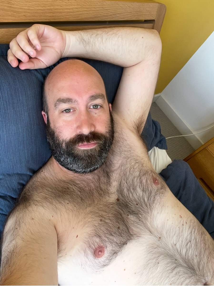 Dan 🏳️‍🌈🐻 tweet media