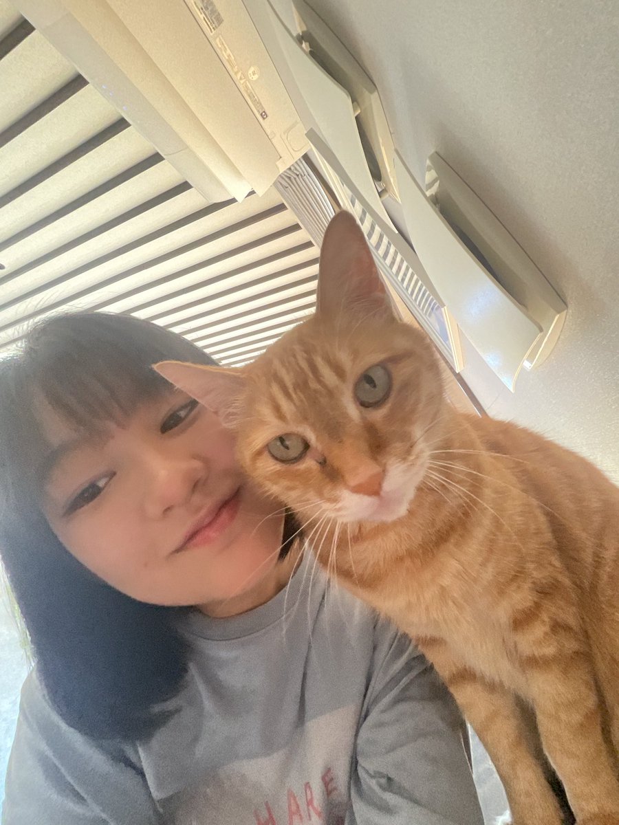 まーちゃん HIMAWARIちゃんねる (@HIMAWARI201159) / Posts / X