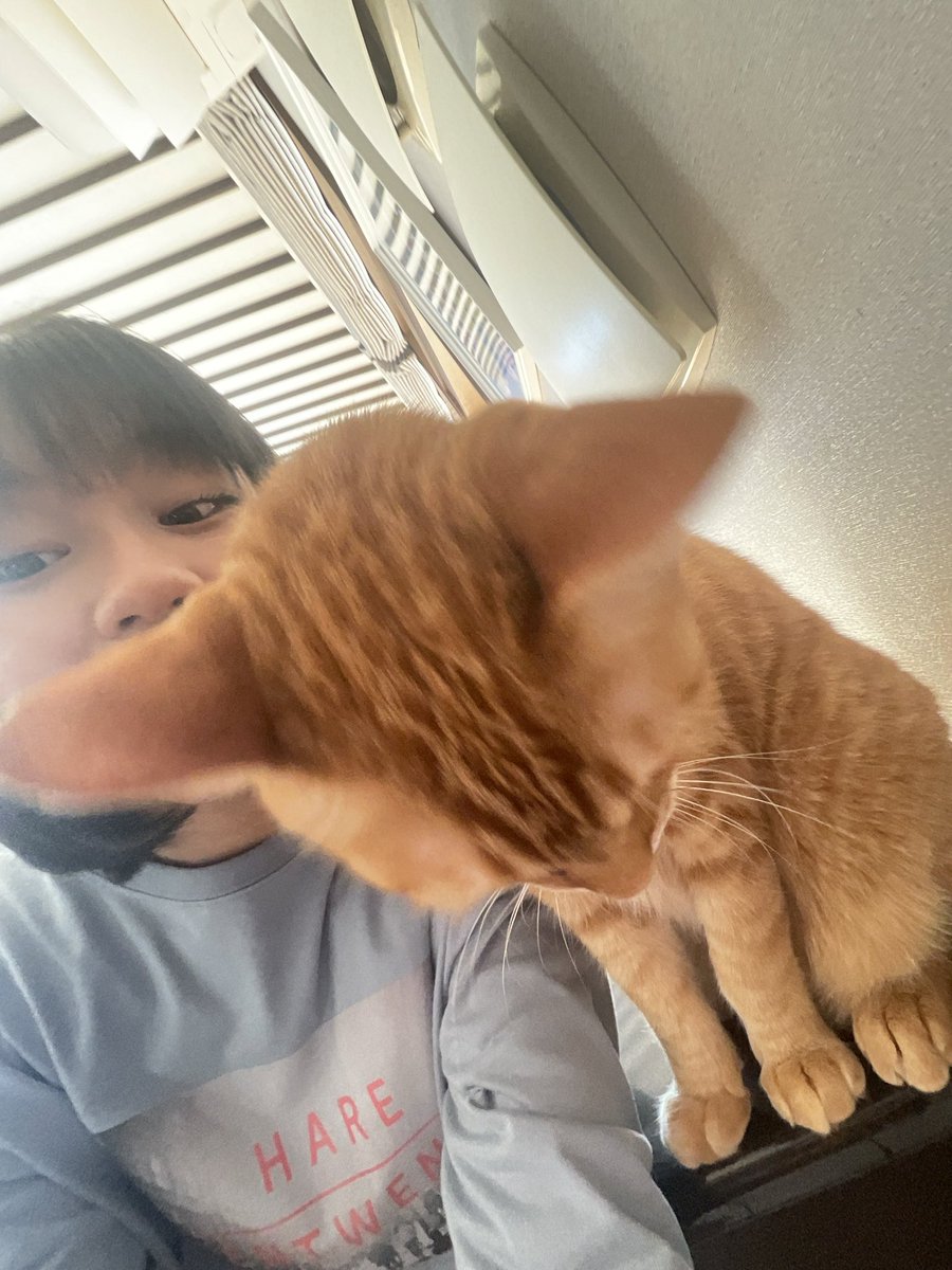 まーちゃんジョンウ2 まーちゃん HIMAWARIちゃんねる (@HIMAWARI201159) / Posts / X