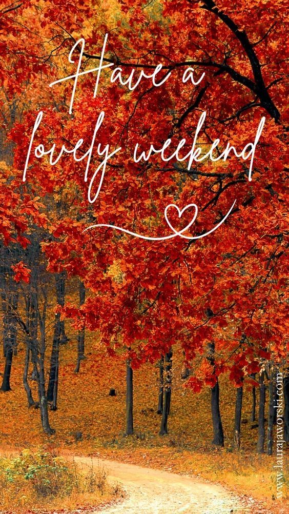 KaceyKells's tweet image. #weekendsunshine 🌞
@pirateirwin @GabbyBookAwards @godwininkworks @impoliticpolit @ionacrv @Irishgirl692 @Words_of_a_Nerd @MaryOsei_Oppong @Oldbrookender @PMOsborneWriter @SnapeyWapey @SPOFarrell3 @ANelsonLMPotter @AuthorPiro @davepperlmutter @DerekPa30582481 @DominicPiper1