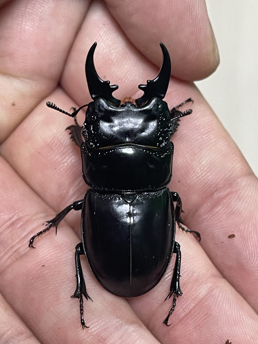 かっつん (@uq4yufhZFyiqsxY) / Posts / X