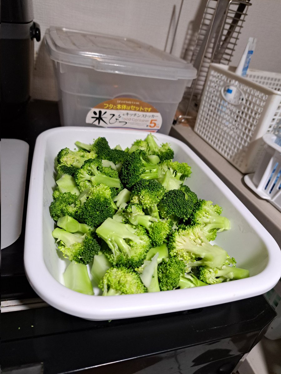 りゅうじさん NINJA ZX-4R SE('23～)・ZX-4RR KRT EDITION('23～)/40thANNIVERSARY