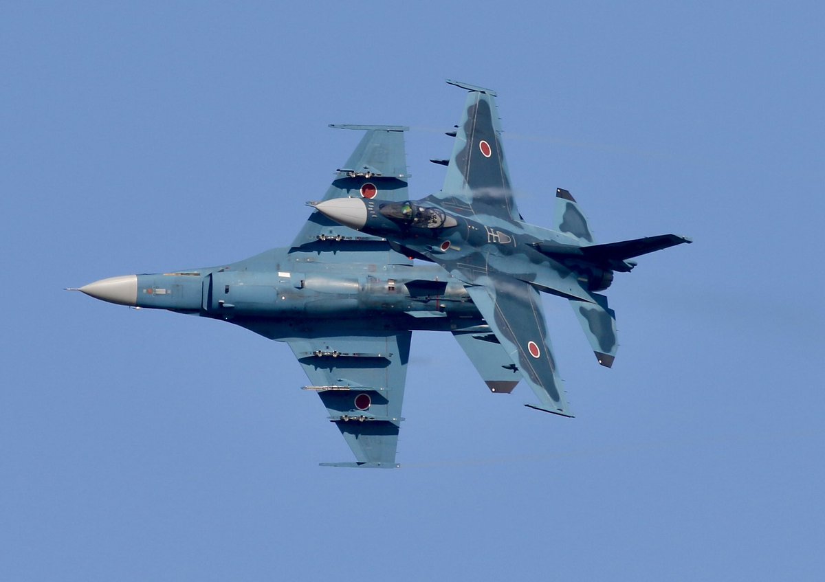 ねこすけ (@shrike01) / Posts / X