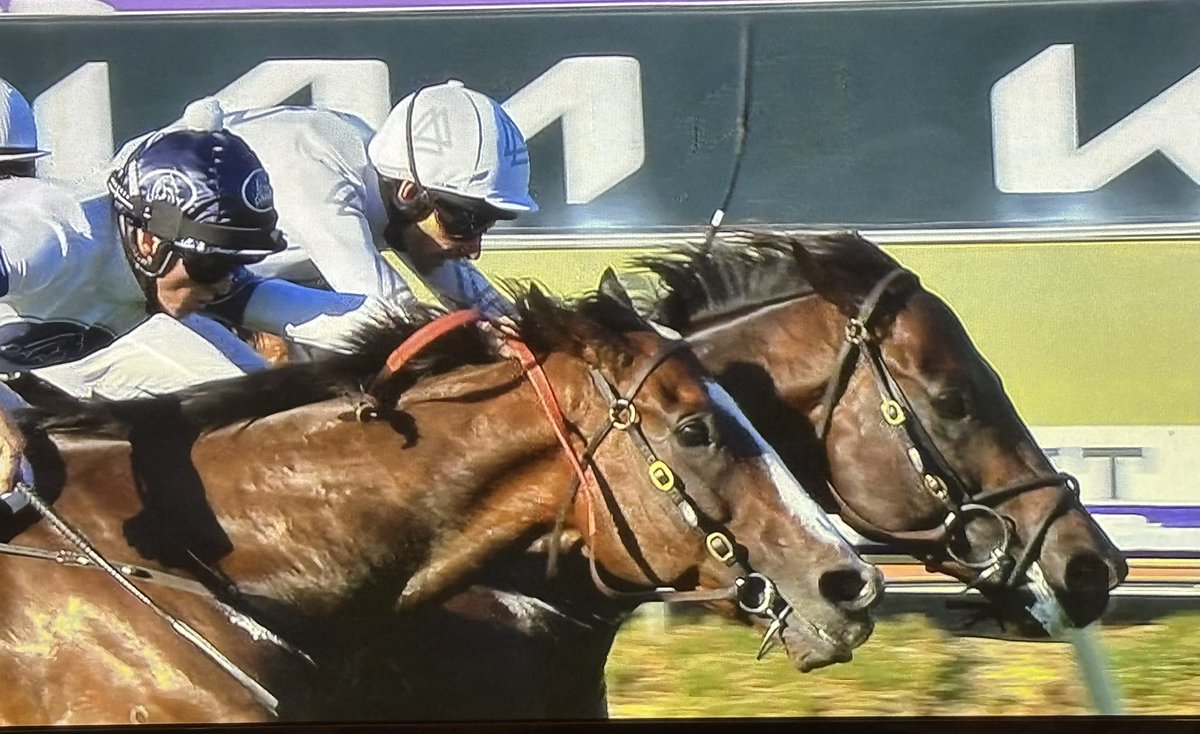 Wow what a finish to the G1 Winterbottom! Libertad (Russian Revolution) JUST beats the wonderful Overpass .. what a fighter! Congrats <a href="/archibaldracing/">Annabel and Rob Archibald Racing</a> &amp; connections! 👍👍