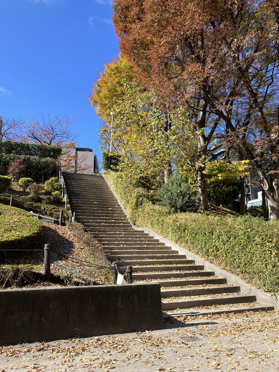 misakinkmr's tweet photo. 高校の吹奏楽部のOBOGバンドをやることになり、母校凱旋。青春の光景🥹あんなミニスカートもう二度と履けない。 https://t.co/tD17DGLlJf